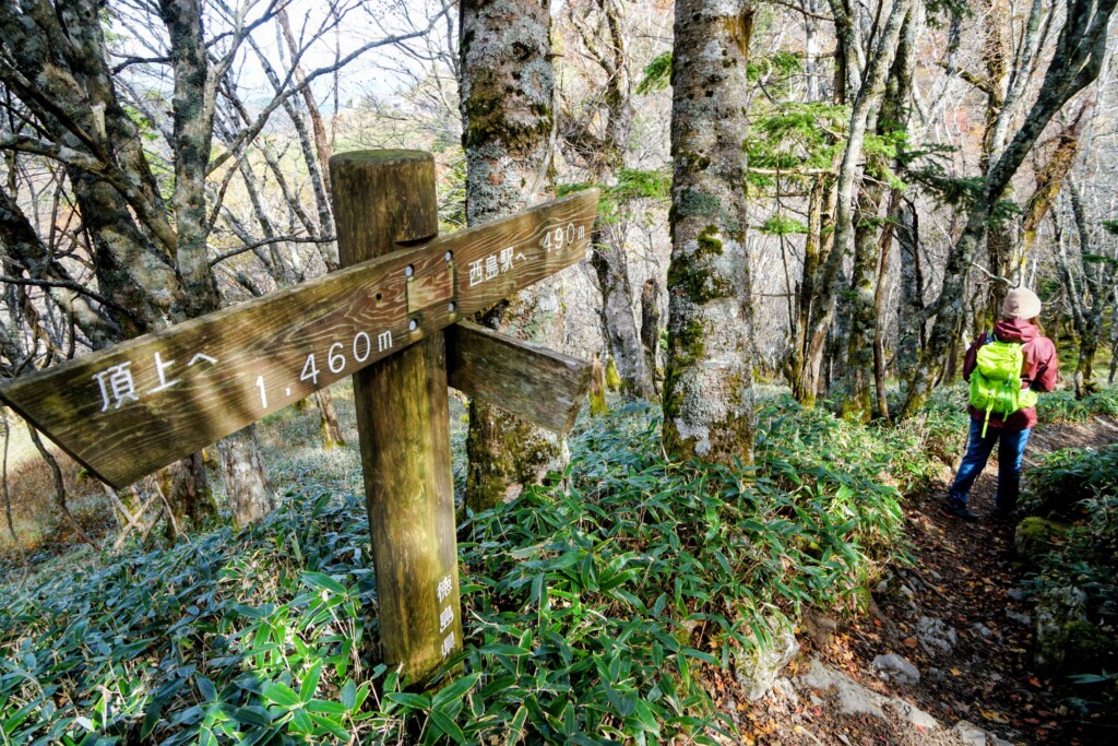 剣山 遊歩道コース途中の道標