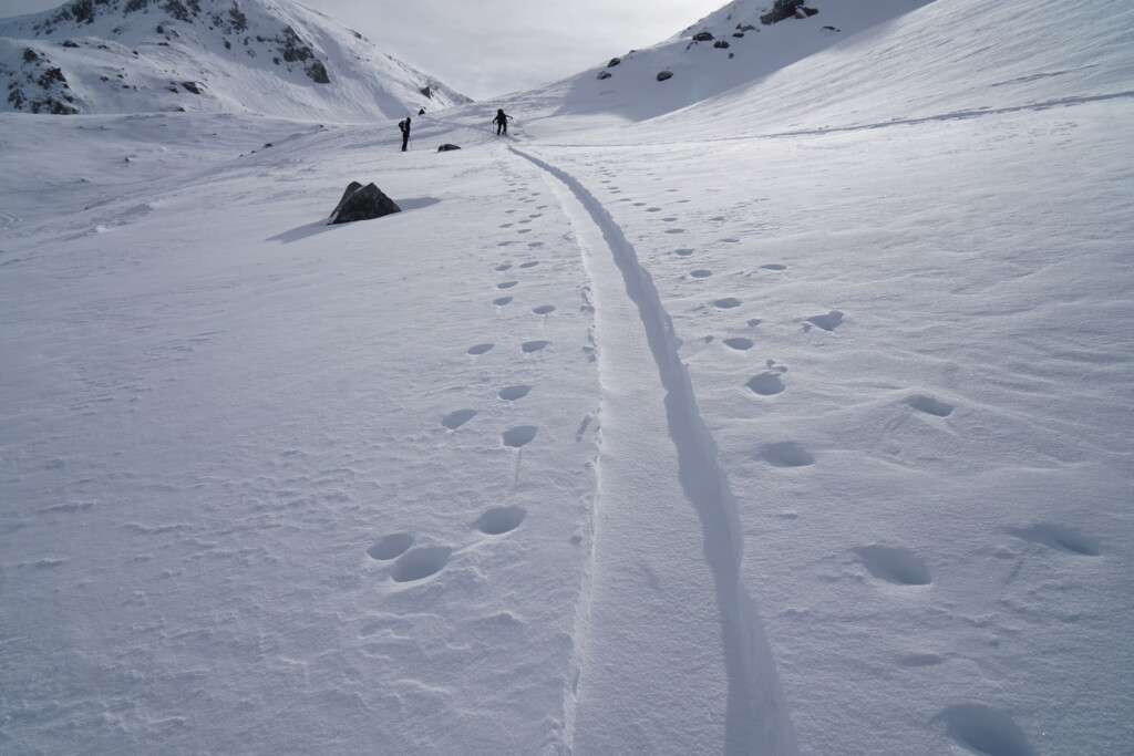 立山のオープンバーンに続くトレース