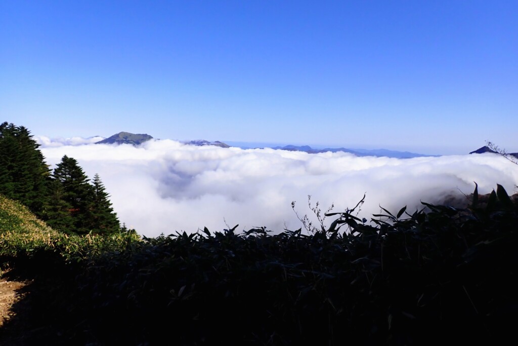石鎚山　下山の時に見た雲海