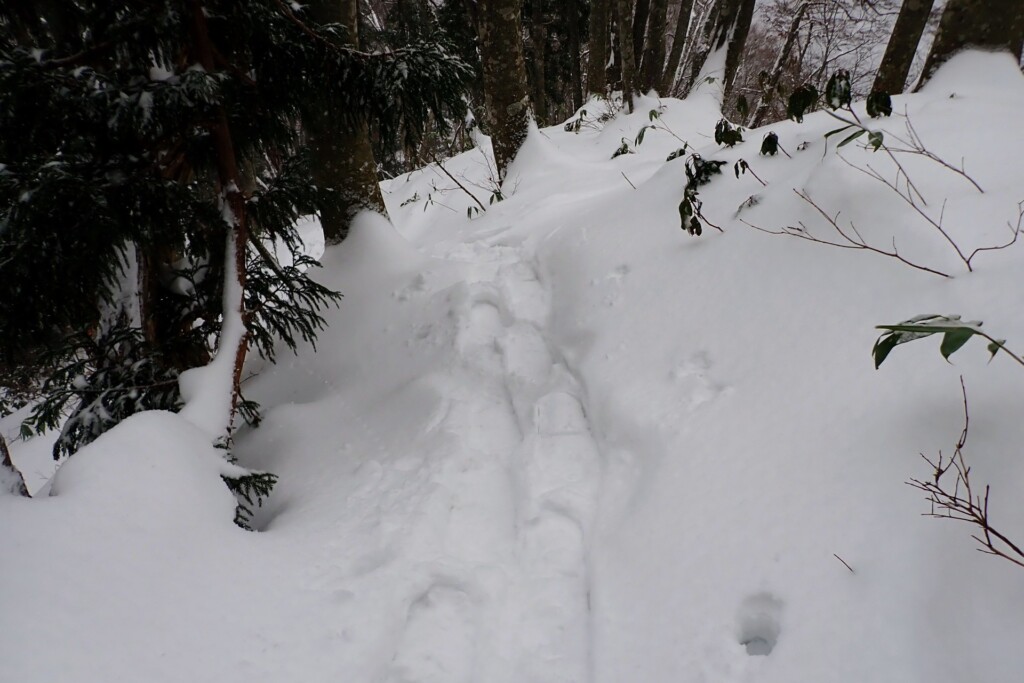 雪山で登山者の足跡（トレース）