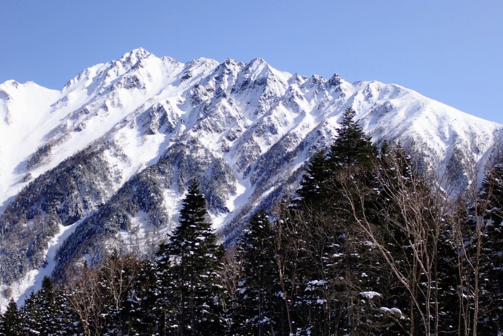 新穂高ロープウェイ西穂高口駅から西穂山荘へ向かう登山道から見える西穂高岳の雪の稜線