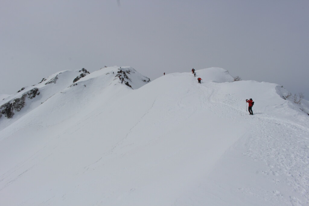 引き返しを判断した地点から見た残雪期の八方尾根上部の稜線