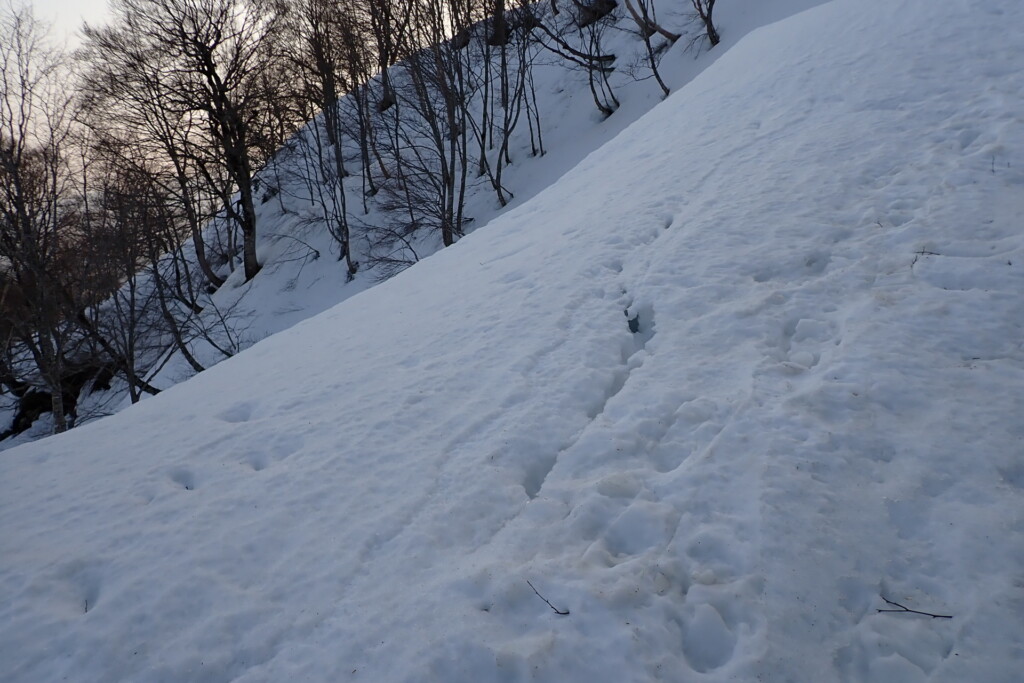 春の雪山の斜面に入った雪面クラックの様子