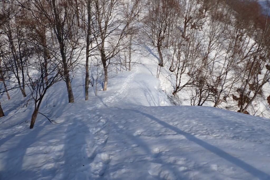 雪庇が発達した尾根上のトレースと周囲の地形の様子